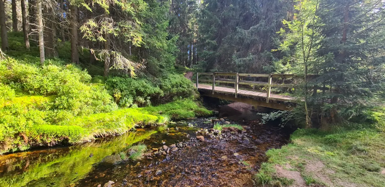 Majówka